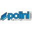 POLINI  Logo