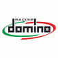 DOMINO RACING Logo