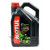 MOTUL 5100 4T 15W-50 - 4 литра thumb
