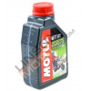 MOTUL Scooter Expert 2T