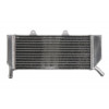 Ляв радиатор RAD-052L Honda CRE 450F (X) 2005-2009 / Honda CRF 450X 2005-2017 Ляв радиатор RAD-052L Honda CRE 450F (X) 2005-2009 / Honda CRF 450X 2005-2017