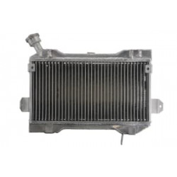 Радиатор RAD-098 Suzuki LT-R 450/450Z (Quadracer) 2006-2009 Радиатор RAD-098 Suzuki LT-R 450/450Z (Quadracer) 2006-2009