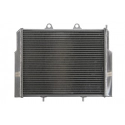 Радиатор RAD-102 Polaris Ace / Ranger