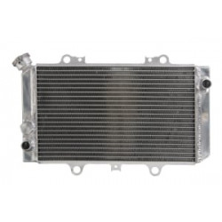 Радиатор RAD-121 Yamaha YFM 660F / FWA (Grizzly) 2002-2008