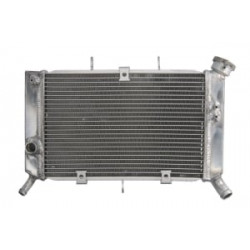 Радиатор RAD-661 Yamaha XJ6 600/600 ABS/600N/600S 09-16 / 600F 10-16/600SA-13-16 Радиатор RAD-661 Yamaha XJ6 600/600 ABS/600N/600S 09-16 / 600F 10-16/600SA-13-16