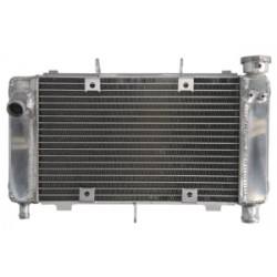 Радиатор RAD-561 Yamaha FZ6 600N/600S 04-06 / 600NA (ABS) 05-06 / 600S (Fazer ABS) 2006 Радиатор RAD-561 Yamaha FZ6 600N/600S 04-06 / 600NA (ABS) 05-06 / 600S (Fazer ABS) 2006