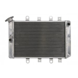 Радиатор RAD-219 Yamaha YFM 550F / 700 / 700F Радиатор RAD-219 Yamaha YFM 550F / 700 / 700F