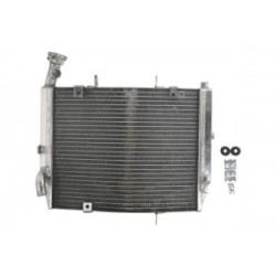 Радиатор RAD-613 Triumph Daytona 675 2006-2012 Радиатор RAD-613 Triumph Daytona 675 2006-2012