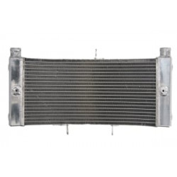 Радиатор RAD-639 Kawasaki Ninja 250R 2009-2010 / Yamaha VMX 1700 (V-Max) 2009-18 Радиатор RAD-639 Kawasaki Ninja 250R 2009-2010 / Yamaha VMX 1700 (V-Max) 2009-18