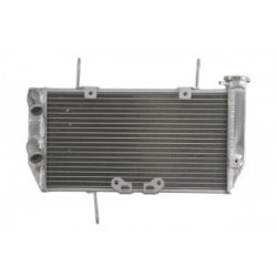 Радиатор RAD-607 Ducati Multistrada 1200/1200 S 2010-2014 / 1200 ABS 2010 Радиатор RAD-607 Ducati Multistrada 1200/1200 S 2010-2014 / 1200 ABS 2010