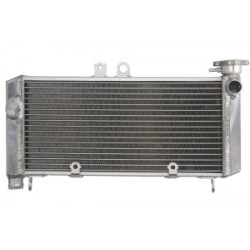 Радиатор RAD-650 Honda CBF 600S 2004-2007 / 600SA (ABS) 2005-2007 Радиатор RAD-650 Honda CBF 600S 2004-2007 / 600SA (ABS) 2005-2007