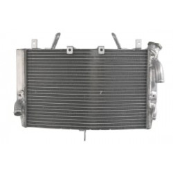 Радиатор RAD-569 Yamaha YZF-R1 1000 2007-2008 Радиатор RAD-569 Yamaha YZF-R1 1000 2007-2008