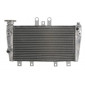Радиатор RAD-615 Triumph Speed Triple 1050 2005-2010 thumb