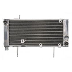 Радиатор RAD-550 Suzuki SV 1000S 2003-2007 Радиатор RAD-550 Suzuki SV 1000S 2003-2007