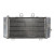 Радиатор RAD-655 Honda XL 1000 - 2003-06 / 1000V 1999-06 / 1000VA 2004-06 Радиатор RAD-655 Honda XL 1000 - 2003-06 / 1000V 1999-06 / 1000VA 2004-06 thumb