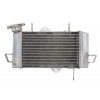 Радиатор RAD-660 Yamaha YZF-R125 125 2008-2011 Радиатор RAD-660 Yamaha YZF-R125 125 2008-2011