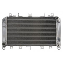 Радиатор RAD-590 Kawasaki Z 1000 2003-2006 Радиатор RAD-590 Kawasaki Z 1000 2003-2006