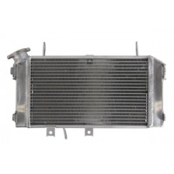 Радиатор RAD-657 Suzuki SFV 650-2009-15 / 650A ABS - 2009-16 Радиатор RAD-657 Suzuki SFV 650-2009-15 / 650A ABS - 2009-16