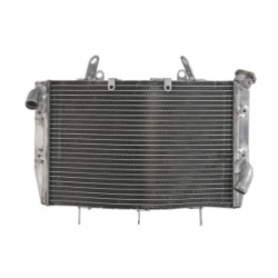 Радиатор RAD-566 Yamaha YZF-R1 1000 2000-2001 Радиатор RAD-566 Yamaha YZF-R1 1000 2000-2001