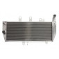 Радиатор RAD-659 Suzuki GSX 1250FA 2010-2017 / 1250FA-2010 thumb