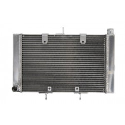 Радиатор RAD-629 Honda CB 1000R 2008-2016 / 1000RA ABS 2008-2016 Радиатор RAD-629 Honda CB 1000R 2008-2016 / 1000RA ABS 2008-2016
