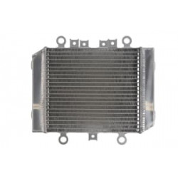 Радиатор RAD-575 Kawasaki ER 500 (Twister) 1996-2009