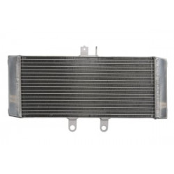 Радиатор RAD-626 Suzuki GSF 1250/A/S/SA / GSX 650F/650FA (ABS) Радиатор RAD-626 Suzuki GSF 1250/A/S/SA / GSX 650F/650FA (ABS)