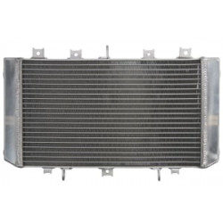 Радиатор RAD-585 Kawasaki Z 750 2004-2006 Радиатор RAD-585 Kawasaki Z 750 2004-2006