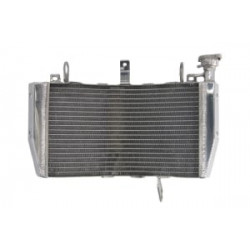 Радиатор RAD-606 Ducati Monster 821/ 821 Stripe /821 Dark 2014-2016