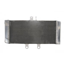 Радиатор RAD-624 Suzuki GSF 650/ A / S / SA Радиатор RAD-624 Suzuki GSF 650/ A / S / SA
