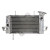 Радиатор RAD-660 Yamaha YZF-R125 125 2008-2011 Радиатор RAD-660 Yamaha YZF-R125 125 2008-2011 thumb