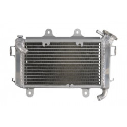 Радиатор RAD-630 KTM Duke 125 2013-2016 / Duke 200 2013-2015 Радиатор RAD-630 KTM Duke 125 2013-2016 / Duke 200 2013-2015