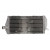 Ляв радиатор RAD-152L Gas Gas EC 125 2007-2012 thumb
