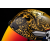 Каска ICON  AIRFORM SUICIDE KING GOLD thumb