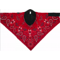Маска за лице SPORTFLEX RED PAISLY thumb