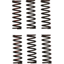 Пружина за съединител PROCIRCUIT CLUTCH SPRING CRF450R 21-24