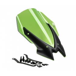 PUIG Слюда New Generation Touring Kawasaki Z900 20-24 Green