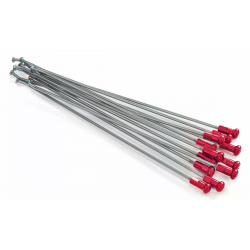Спици KITE SPOKES 21FR SI /RE NIP 12PC Silver/Red Спици KITE SPOKES 21FR SI /RE NIP 12PC Silver/Red