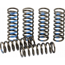Пружини за съединител PROCIRCUIT SPRINGS CLUTCH YZ250F