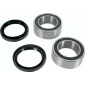 Комплект лагери за задни джанти BEARING KIT WHEEL Rear Yamaha YFZ thumb