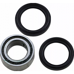 Лагери за задни джанти MOOSE RACING BEARING REAR WHEEL-TRX RINCON