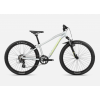 Велосипед ORBEA MX 24 XC Halo Silver - Spicy Lime