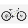 Велосипед ORBEA MX 24 TEAM DISC Halo Silver - Spicy Lime