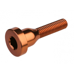 Болт за капачка BURGTEC Top Cap Bolt ­Kash Bronze