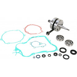 Комплект колянов вал WISECO CRANK W/BRG + GASKET