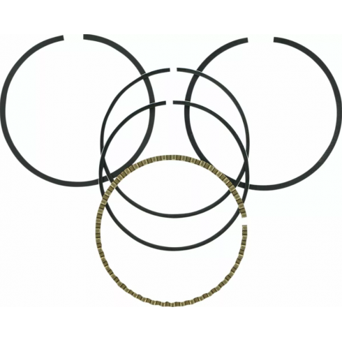 Сегменти WISECO RING SET 020 84-99 EVO BT. Сегменти WISECO RING SET 020 84-99 EVO BT.