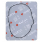 Гaрнитура капак съединител външна ATHENA KTM EXC-F250 14-16, EXC-F350 12-16, SX-F350 11-15; Husqvarna FC250/350 14-15, FE350 13-16 thumb