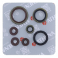 Маслени семеринги кит ATHENA Sherco SE250-300 Factory 14-25, SE-R 250-300 14-20 thumb