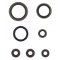 Маслени семеринги кит ATHENA Sherco SE250-300 Factory 14-25, SE-R 250-300 14-20 thumb
