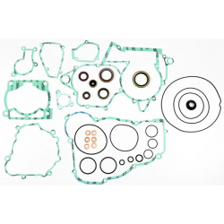 Пълен комплект гарнитури ATHENA Beta RR 250/300 2T 14-15 Пълен комплект гарнитури ATHENA Beta RR 250/300 2T 14-15